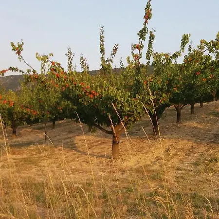 Les Trois Abeilles * Bésignan