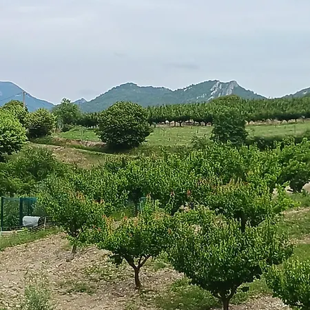 Les Trois Abeilles * Bésignan
